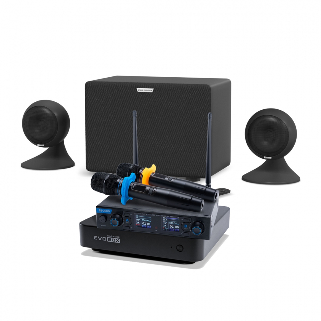 караоке-комплект EVOBOX + EvoSound Sphere 2.1 в Новом Девяткино