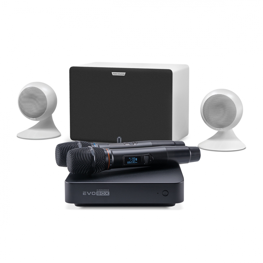 караоке-комплект EVOBOX Classic + EvoSound Sphere 2.1 в Новом Девяткино