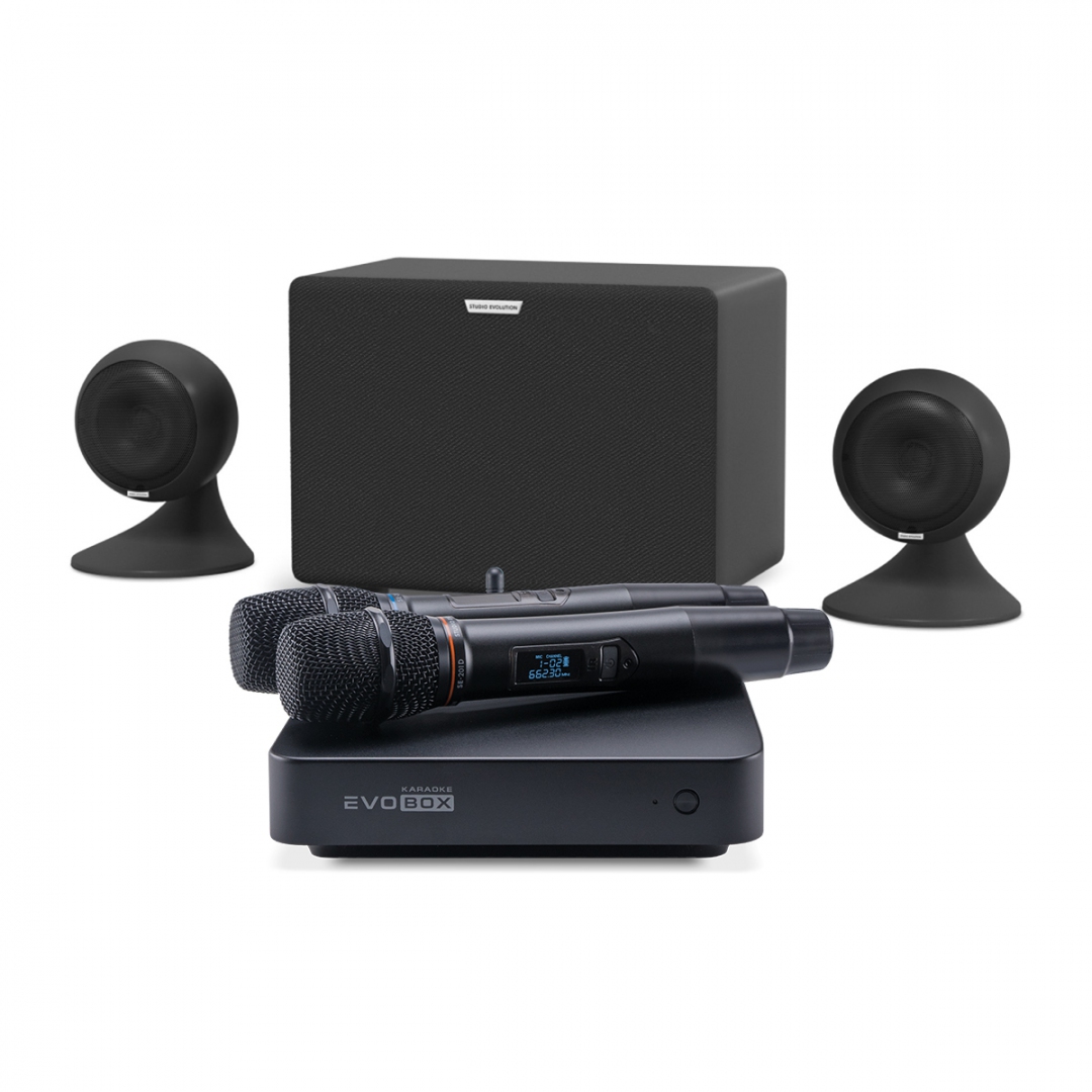 караоке-комплект EVOBOX Plus + EvoSound Sphere 2.1 в Новом Девяткино