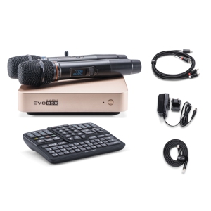 EVOBOX Classic караоке-система для дома в Новом Девяткино