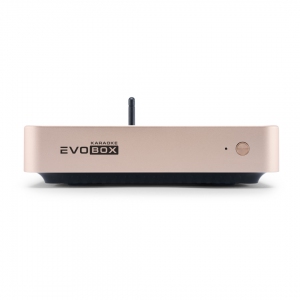 EVOBOX Plus караоке-система для дома в Новом Девяткино